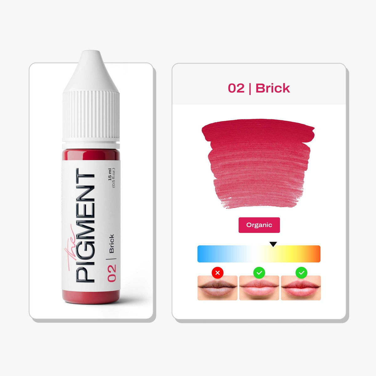 The Pigment - 02 Brick - 15ml - The Perma